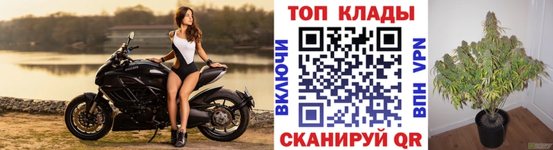 Где купить наркотики Перевоз КОКАИН Меф БУТИРАТ APVP АМФ МАРИХУАНА Гашиш
