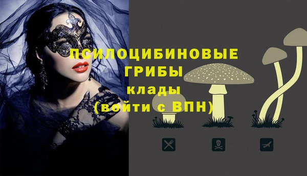 spice Алексин