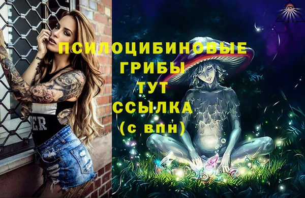 spice Алексин